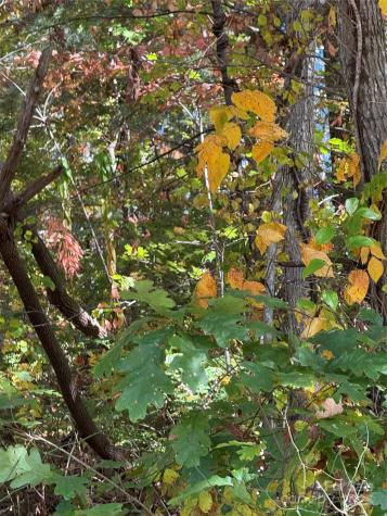 202 Lyndhurst Drive Hendersonville NC 28791