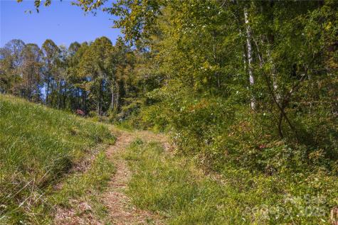 5 Orrinel Way Asheville NC 28806