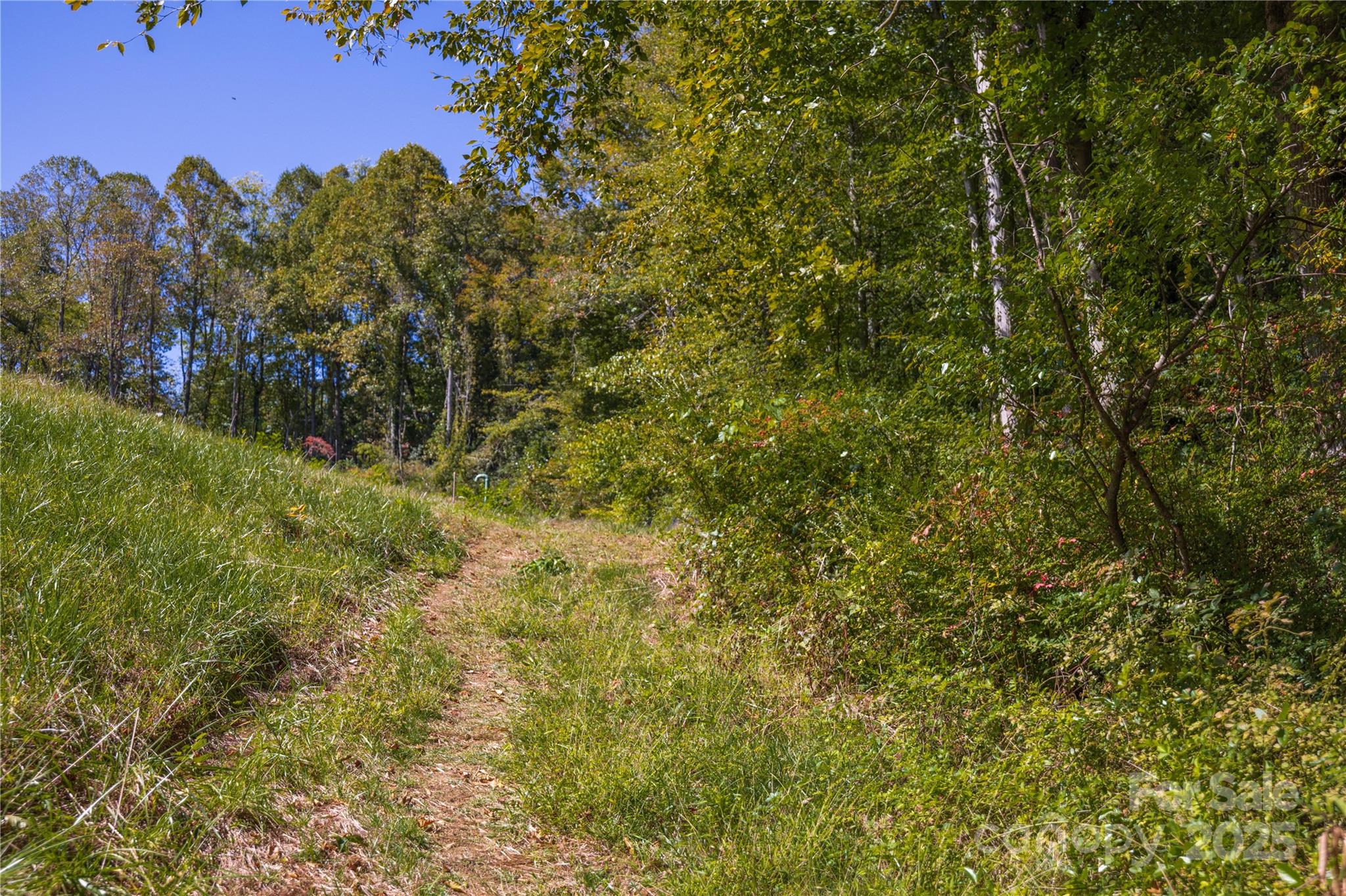 5 Orrinel Way Asheville NC 28806