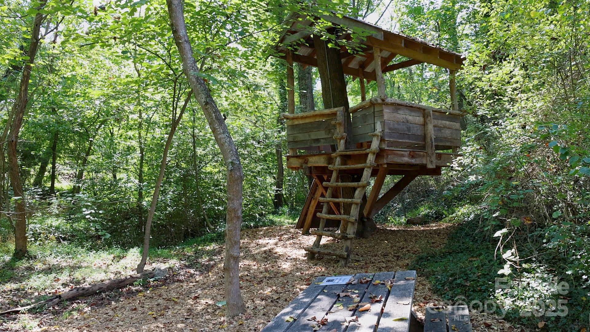 5 Orrinel Way Asheville NC 28806