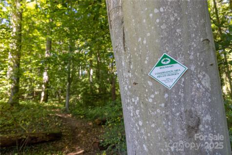 5 Orrinel Way Asheville NC 28806