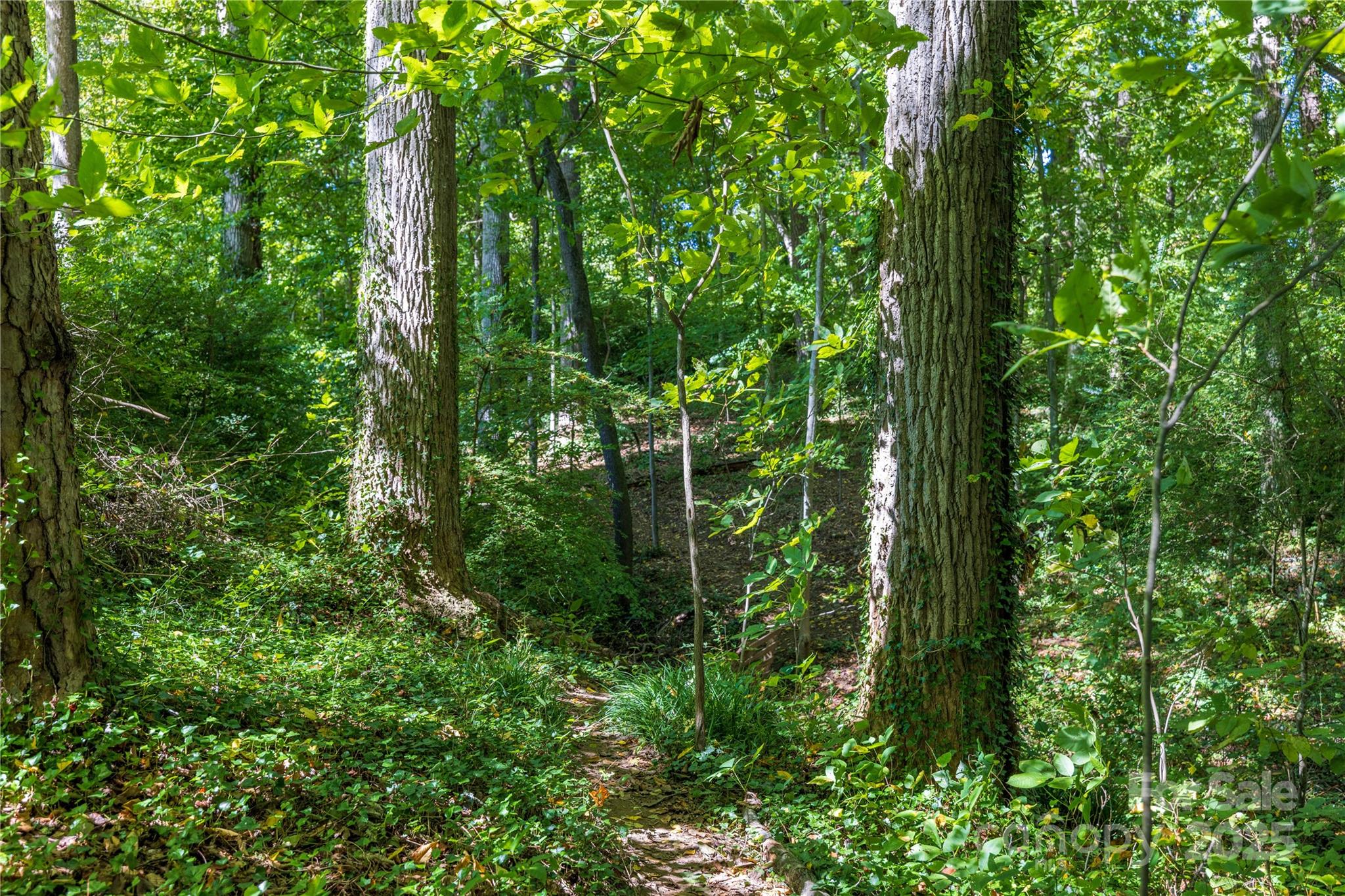 5 Orrinel Way Asheville NC 28806
