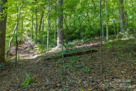 5 Orrinel Way Asheville NC 28806