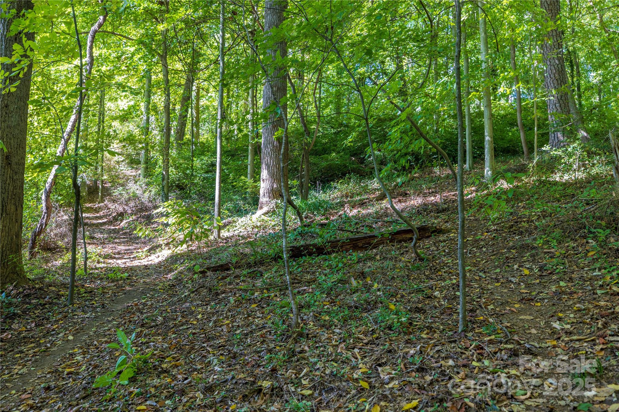 5 Orrinel Way Asheville NC 28806