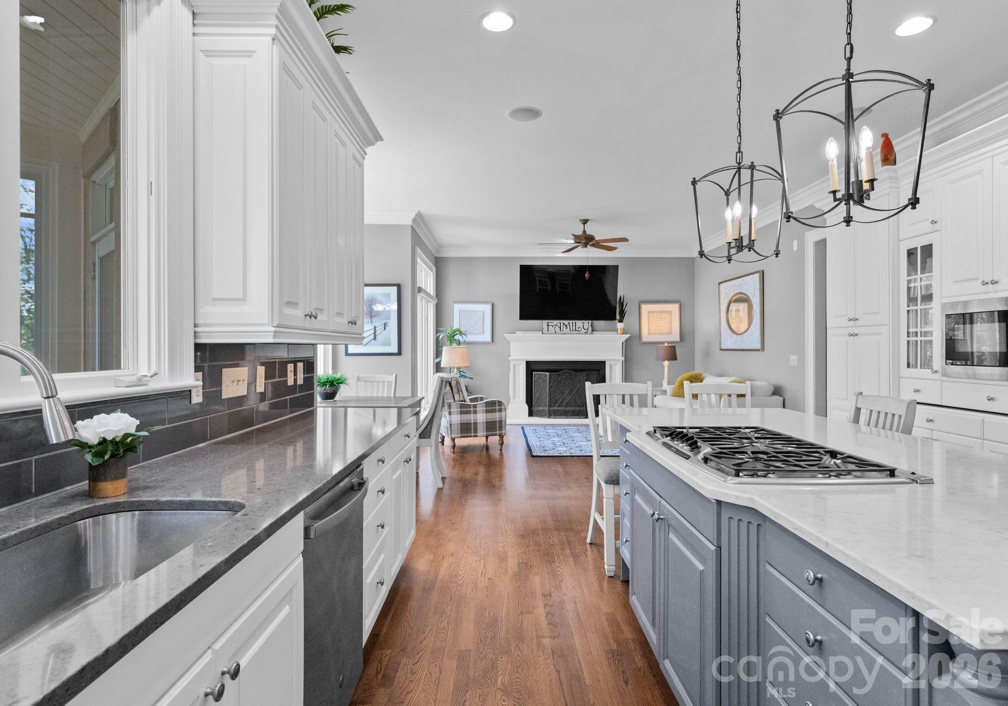 3953 Lake Spring Cove Court Denver NC 28037