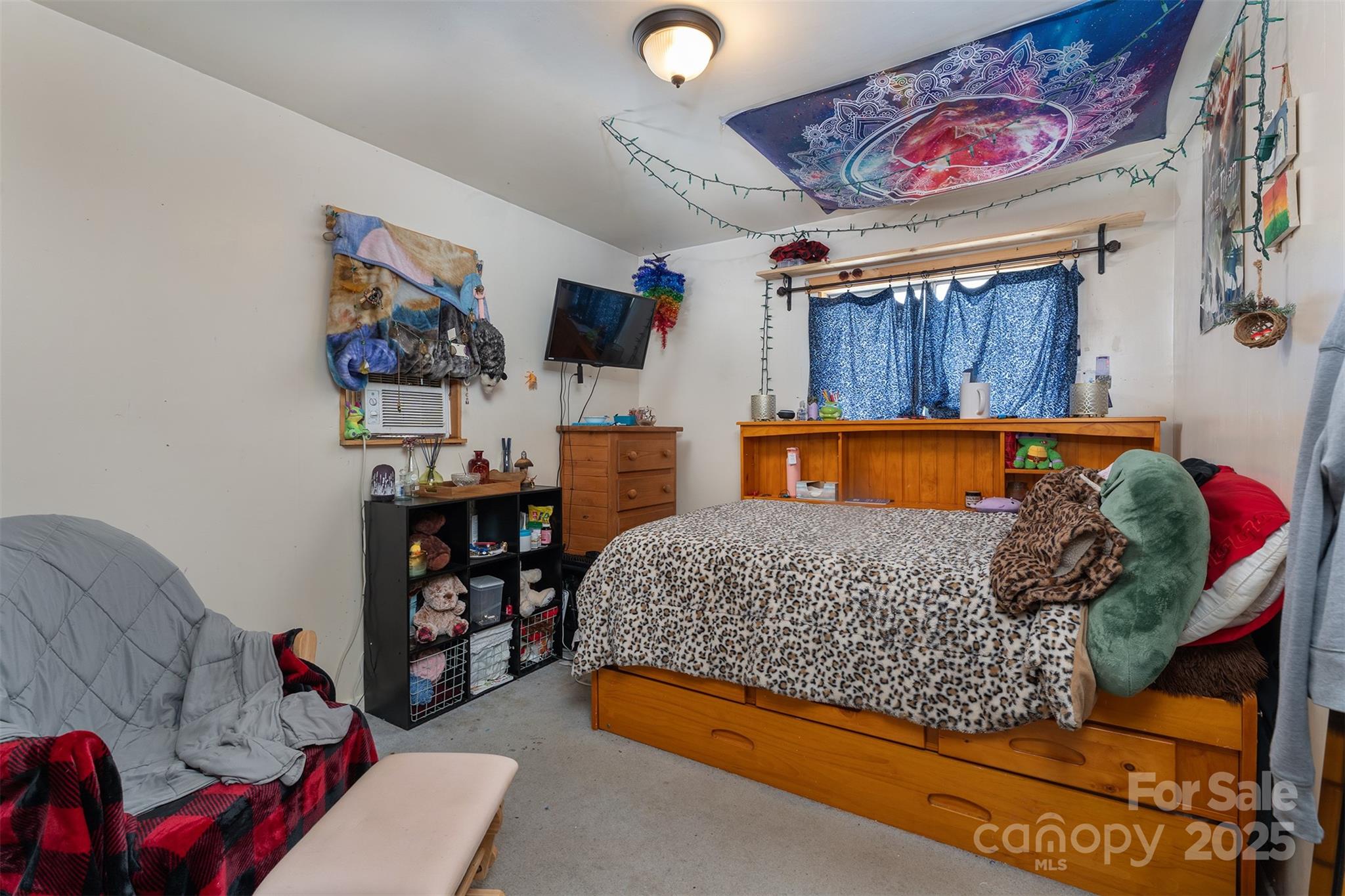 1145 Woolyshot Branch Road Hot Springs NC 28743