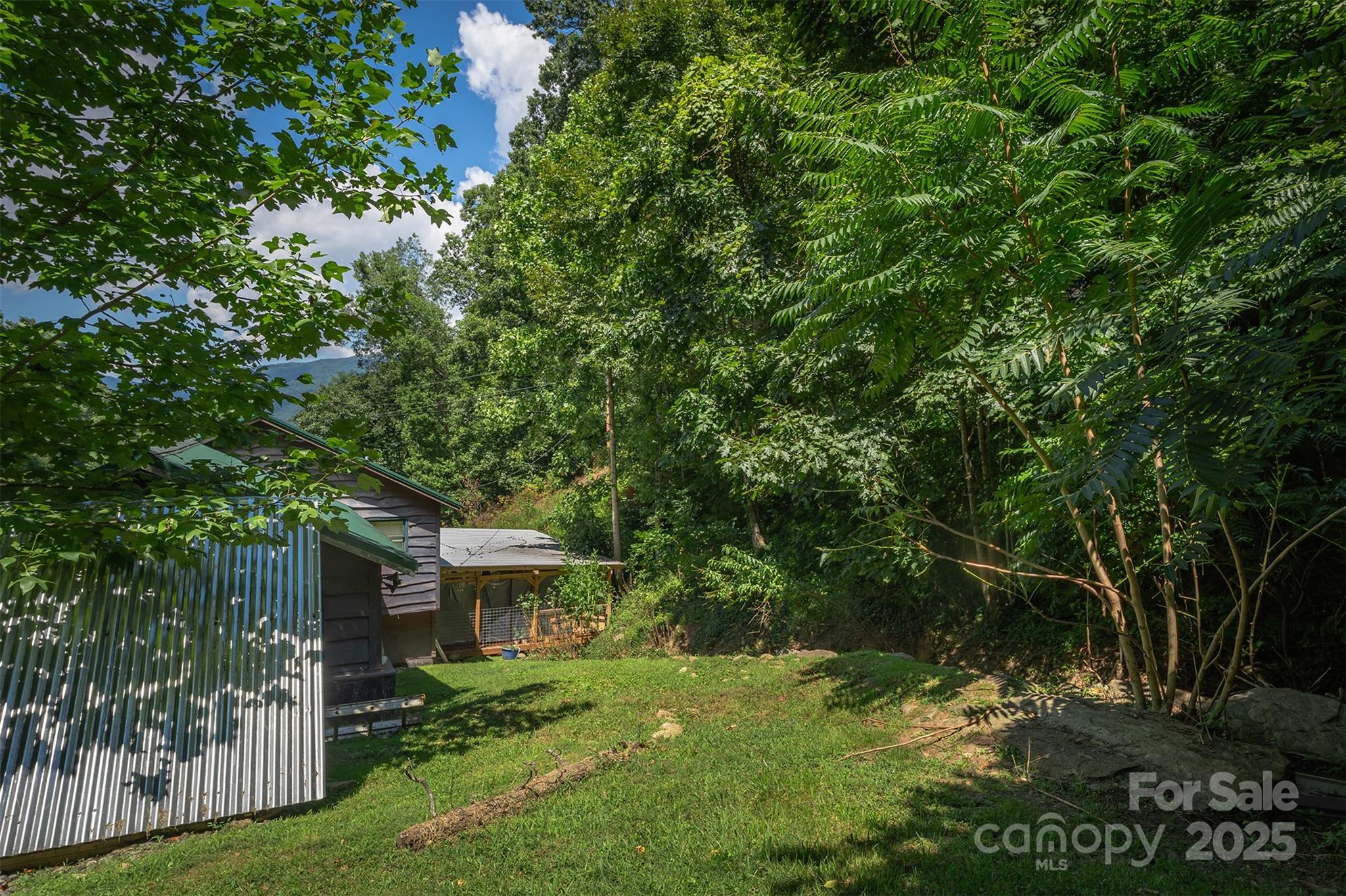 1145 Woolyshot Branch Road Hot Springs NC 28743