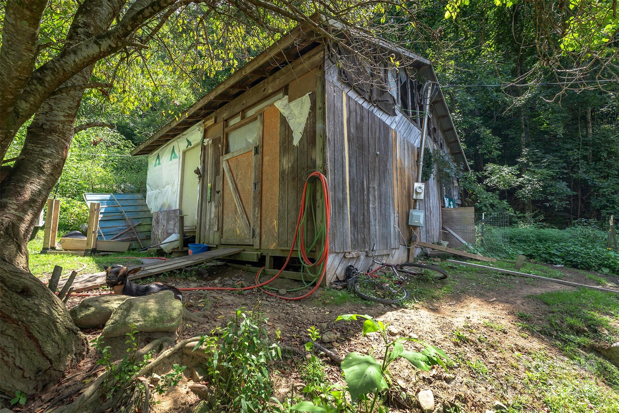 1145 Woolyshot Branch Road Hot Springs NC 28743