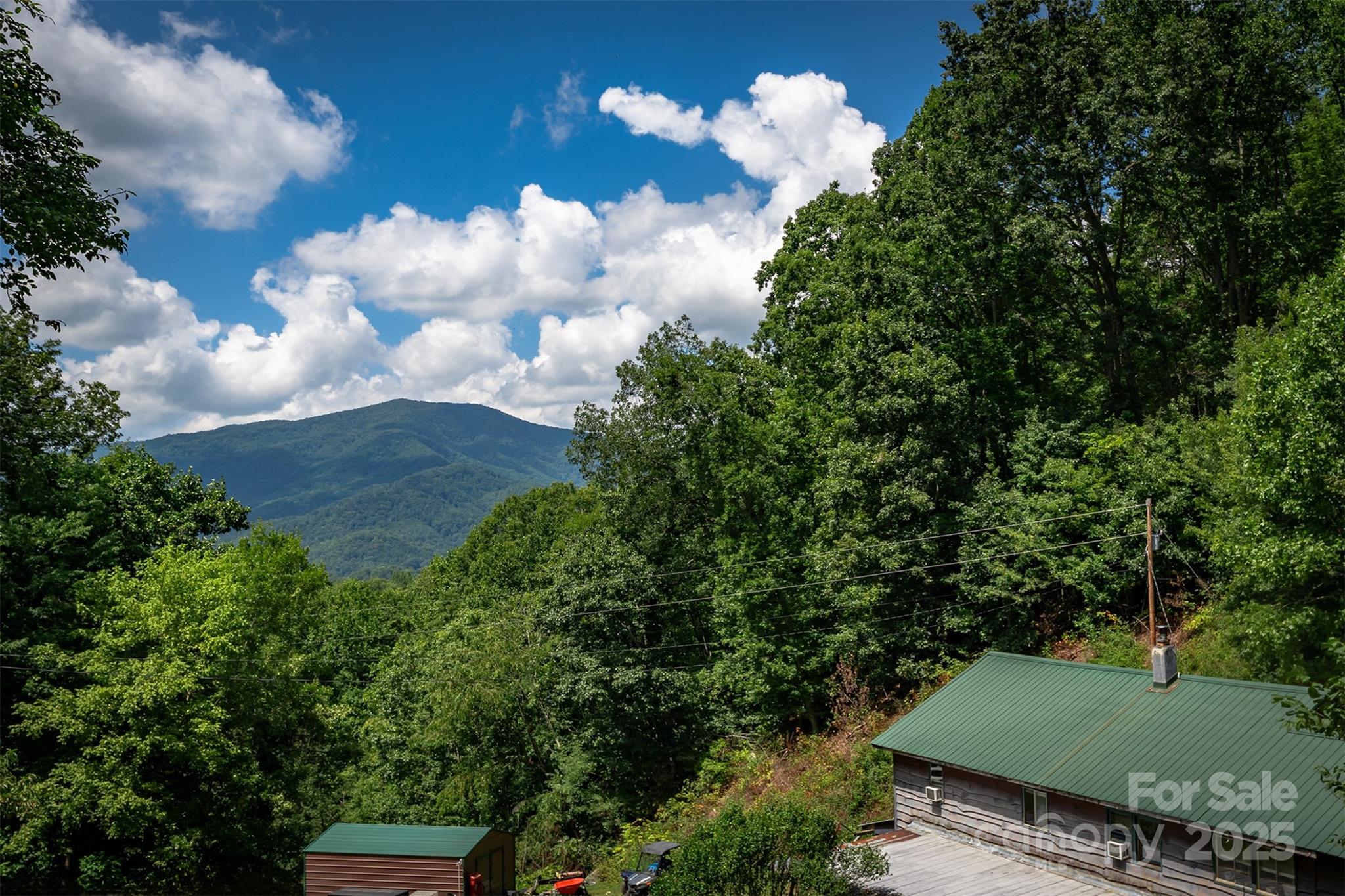 1145 Woolyshot Branch Road Hot Springs NC 28743