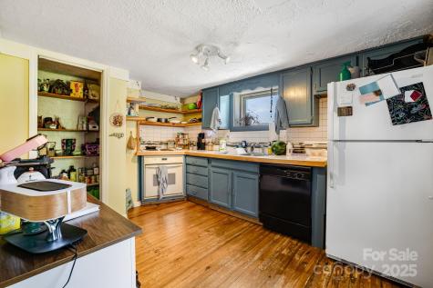 54 Vine Street Asheville NC 28804