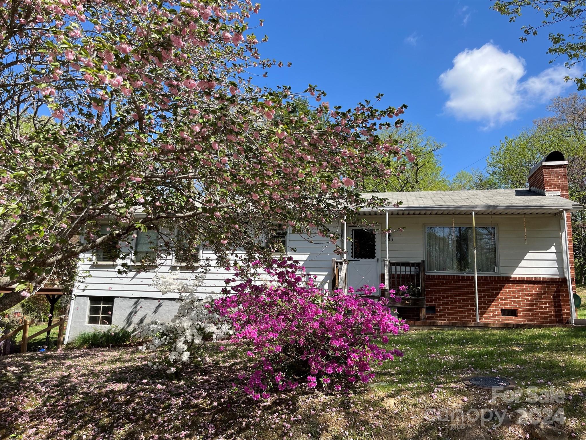 203 Mountain View Road Asheville NC 28805