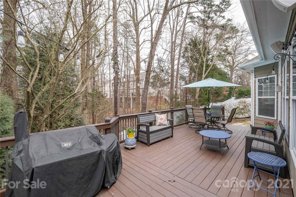 17335 Harbor Walk Drive Cornelius NC 28031