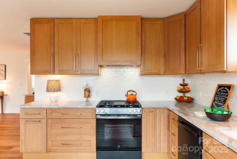 58 Balm Grove Avenue Asheville NC 28806