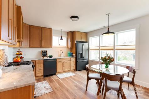 58 Balm Grove Avenue Asheville NC 28806