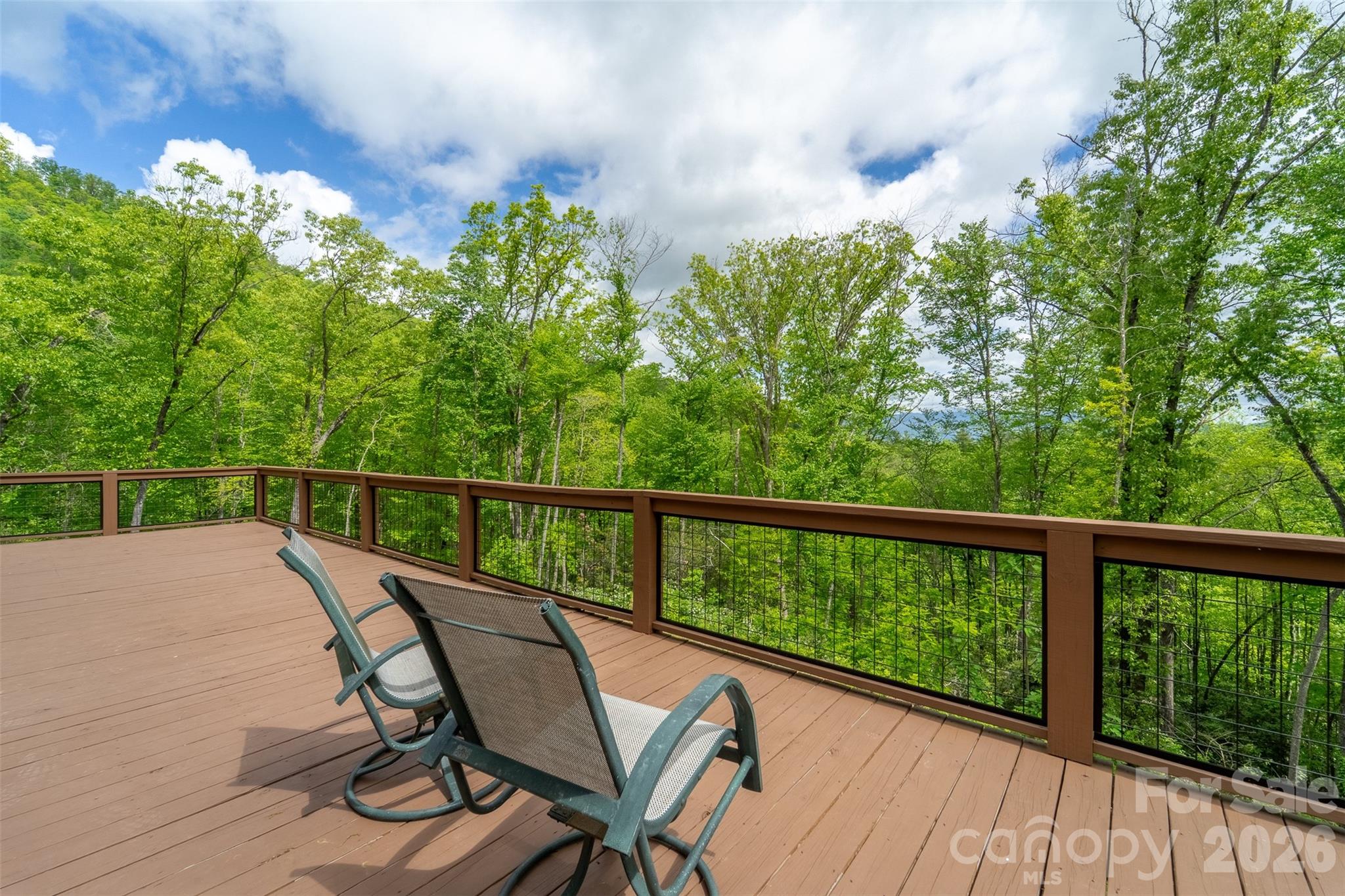 161 Panther Ridge Drive Sylva NC 28779