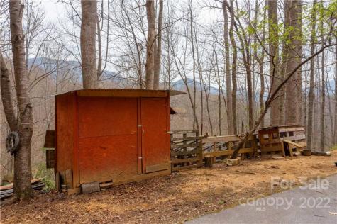 156 Cayton Ridge Bakersville NC 28705