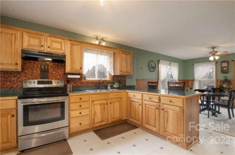 156 Cayton Ridge Bakersville NC 28705