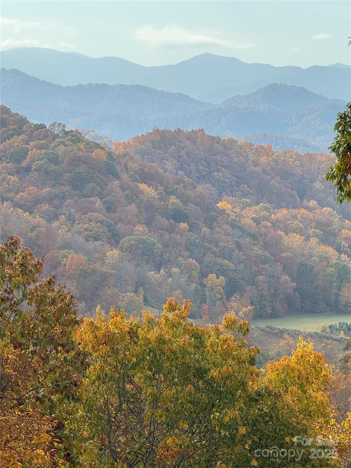 2311 Old Mountain Road Mars Hill NC 28754