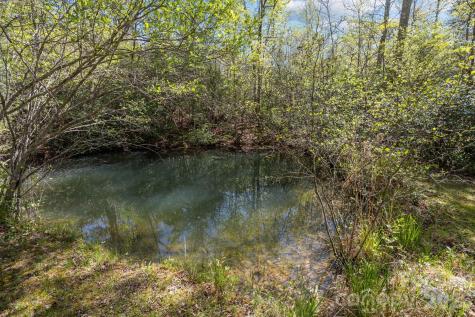 78 Bird Creek Estates Road Black Mountain NC 28711