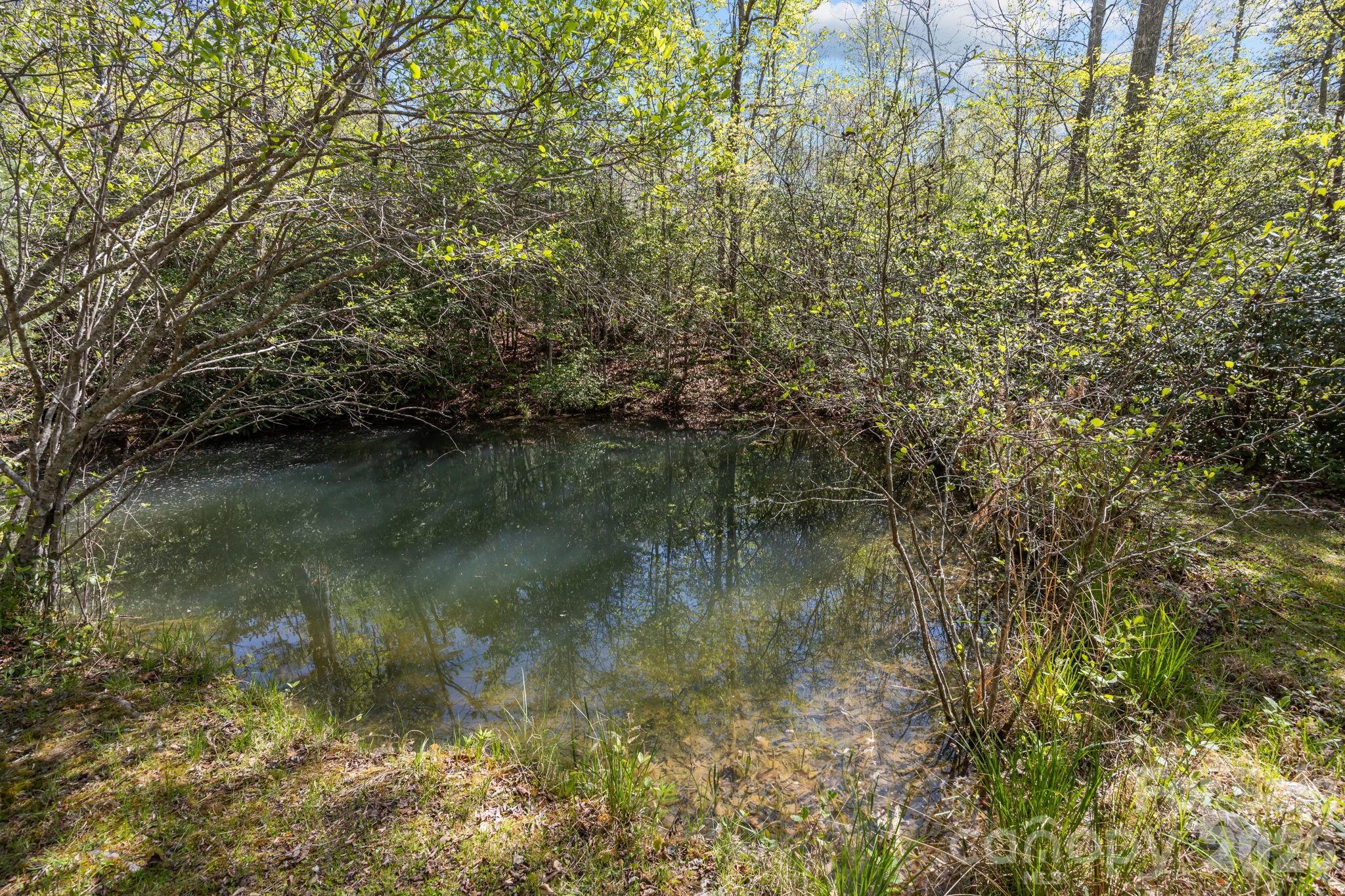 78 Bird Creek Estates Road Black Mountain NC 28711