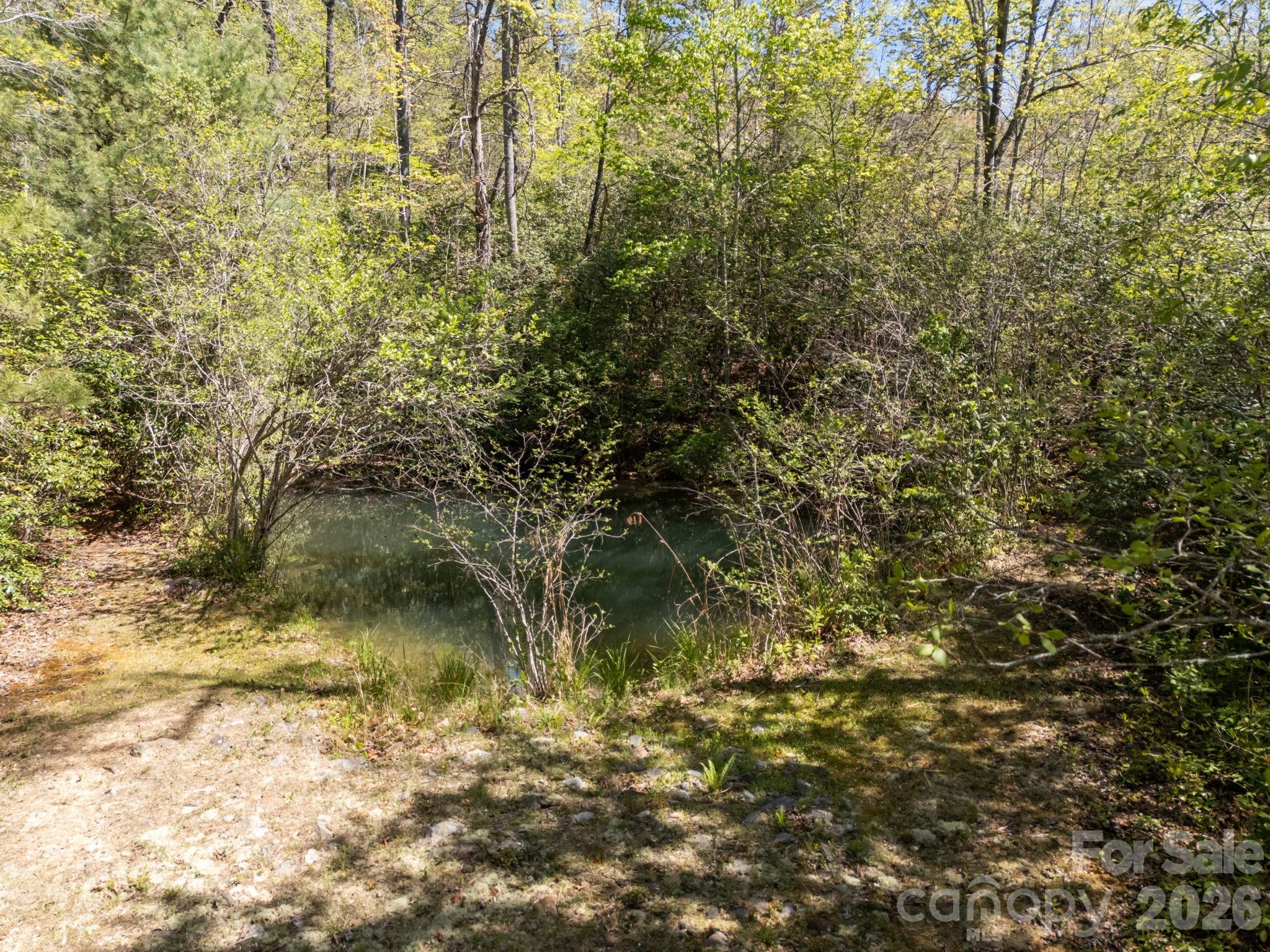 78 Bird Creek Estates Road Black Mountain NC 28711
