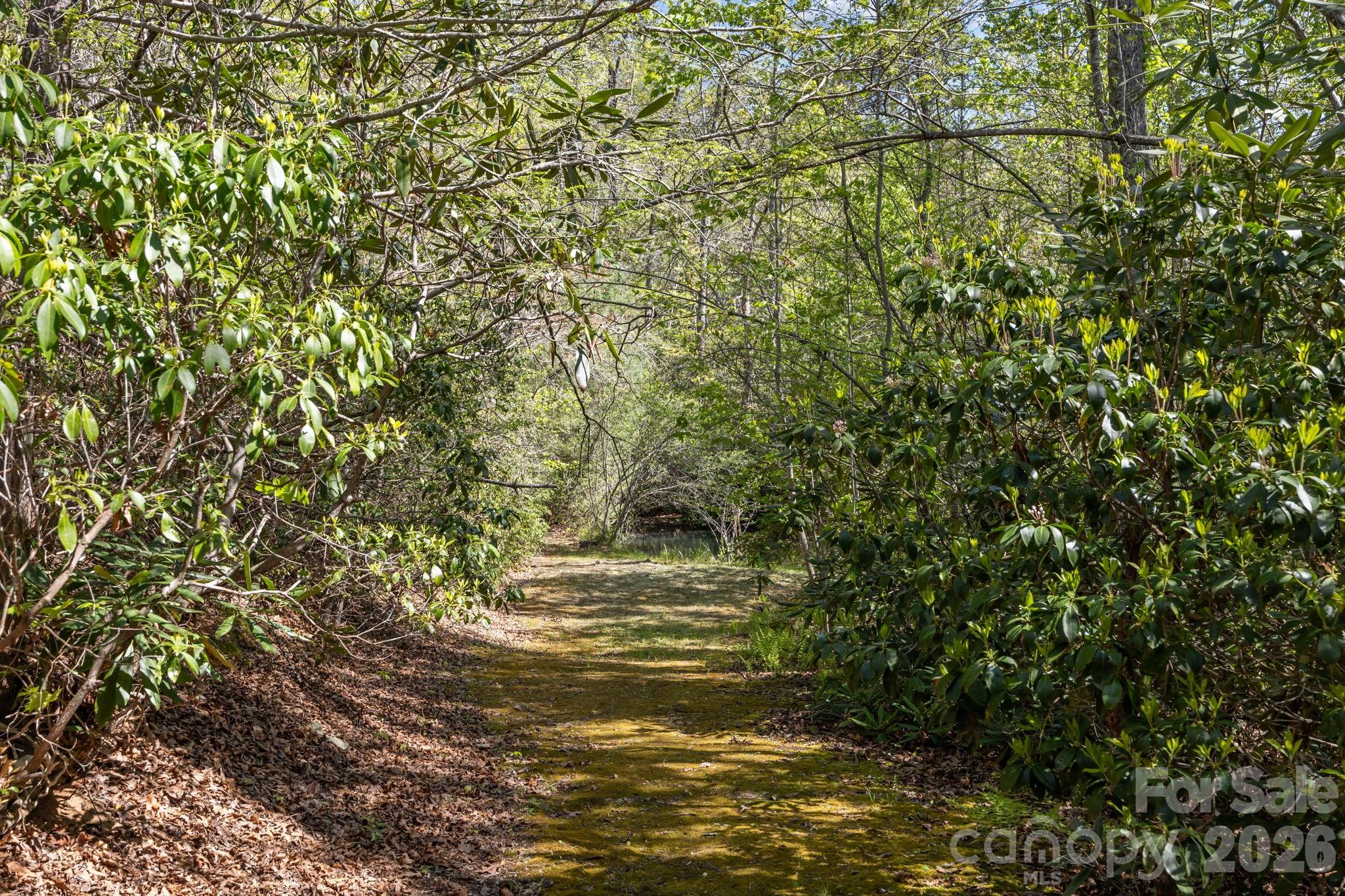 78 Bird Creek Estates Road Black Mountain NC 28711