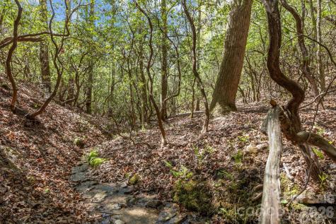 78 Bird Creek Estates Road Black Mountain NC 28711