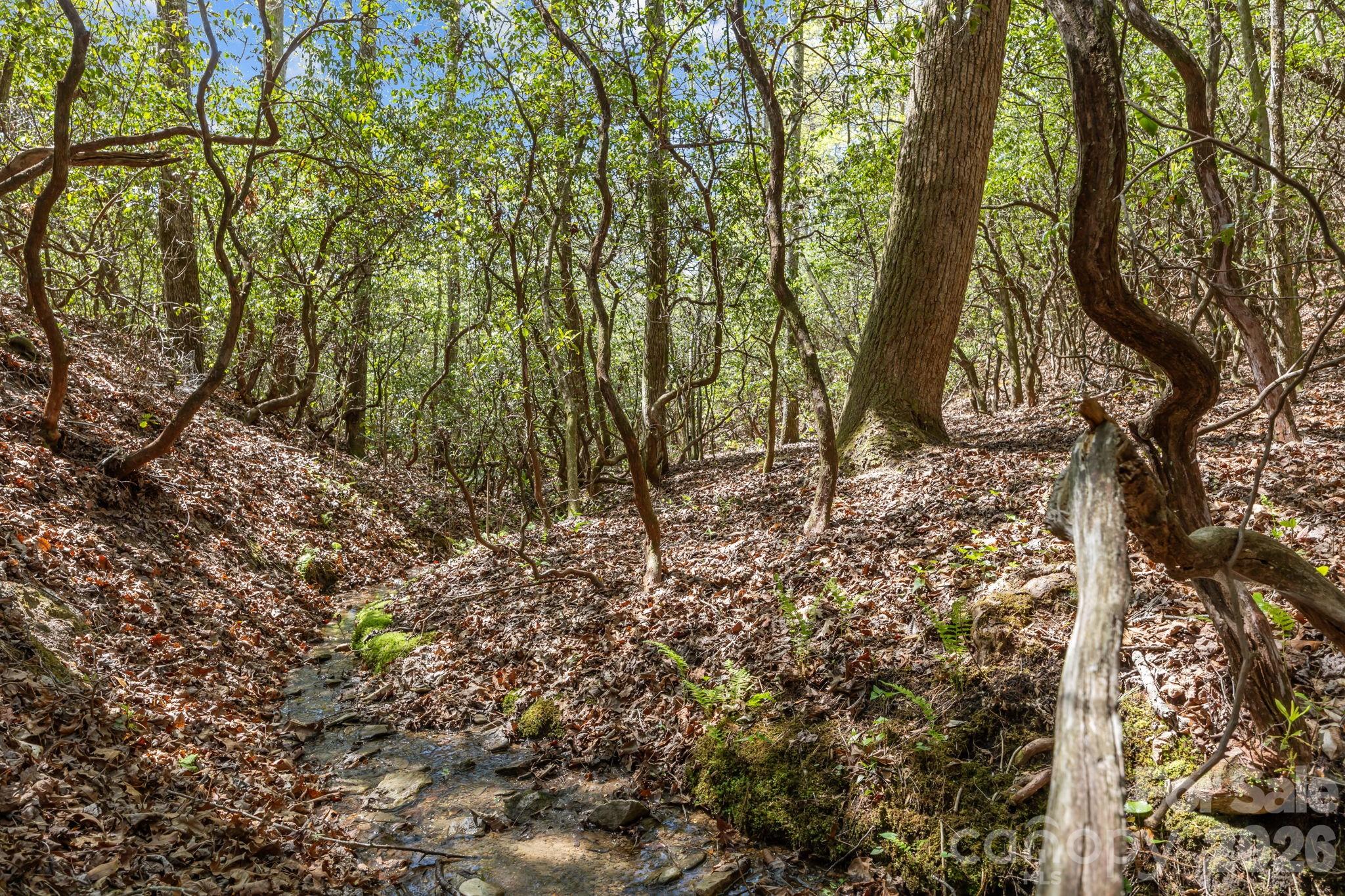 78 Bird Creek Estates Road Black Mountain NC 28711