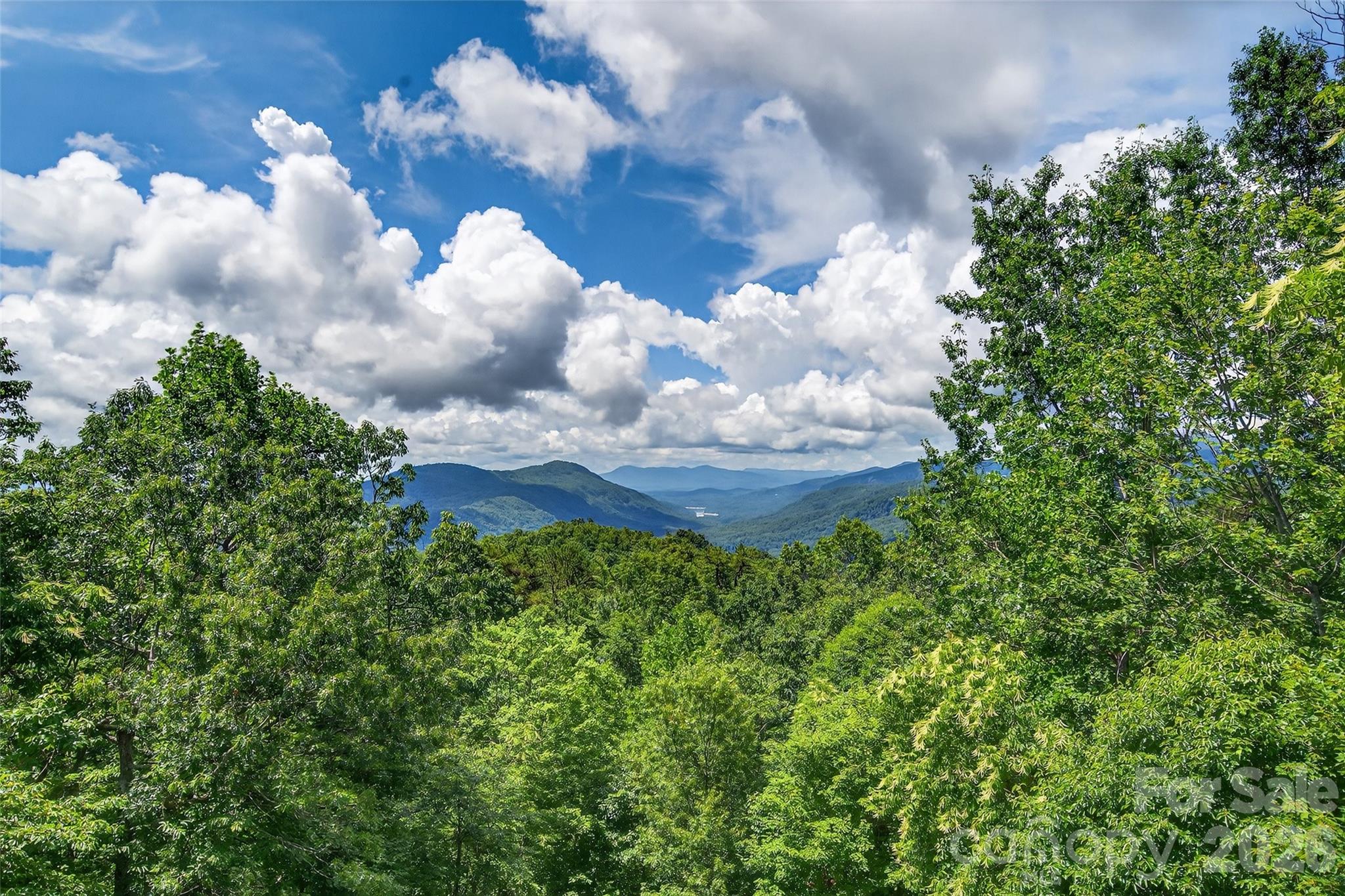 35 Elderberry Drive Old Fort NC 28762