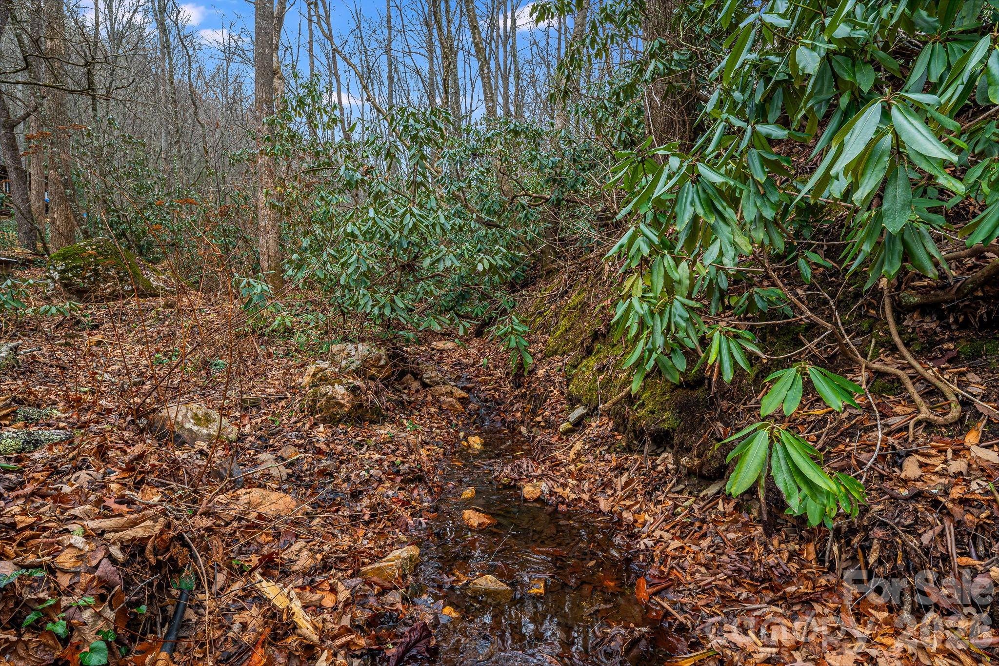 55 Heavenly Lane Fairview NC 28730