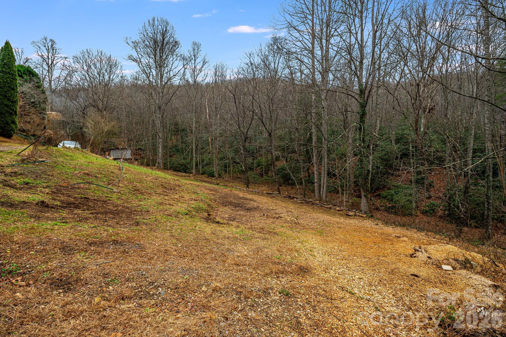 55 Heavenly Lane Fairview NC 28730