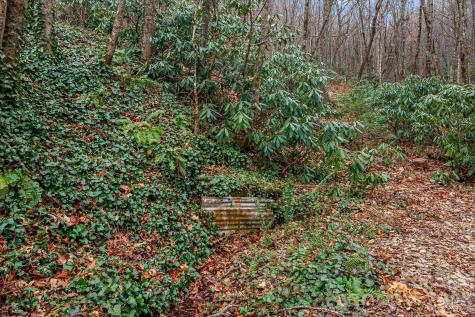 55 Heavenly Lane Fairview NC 28730