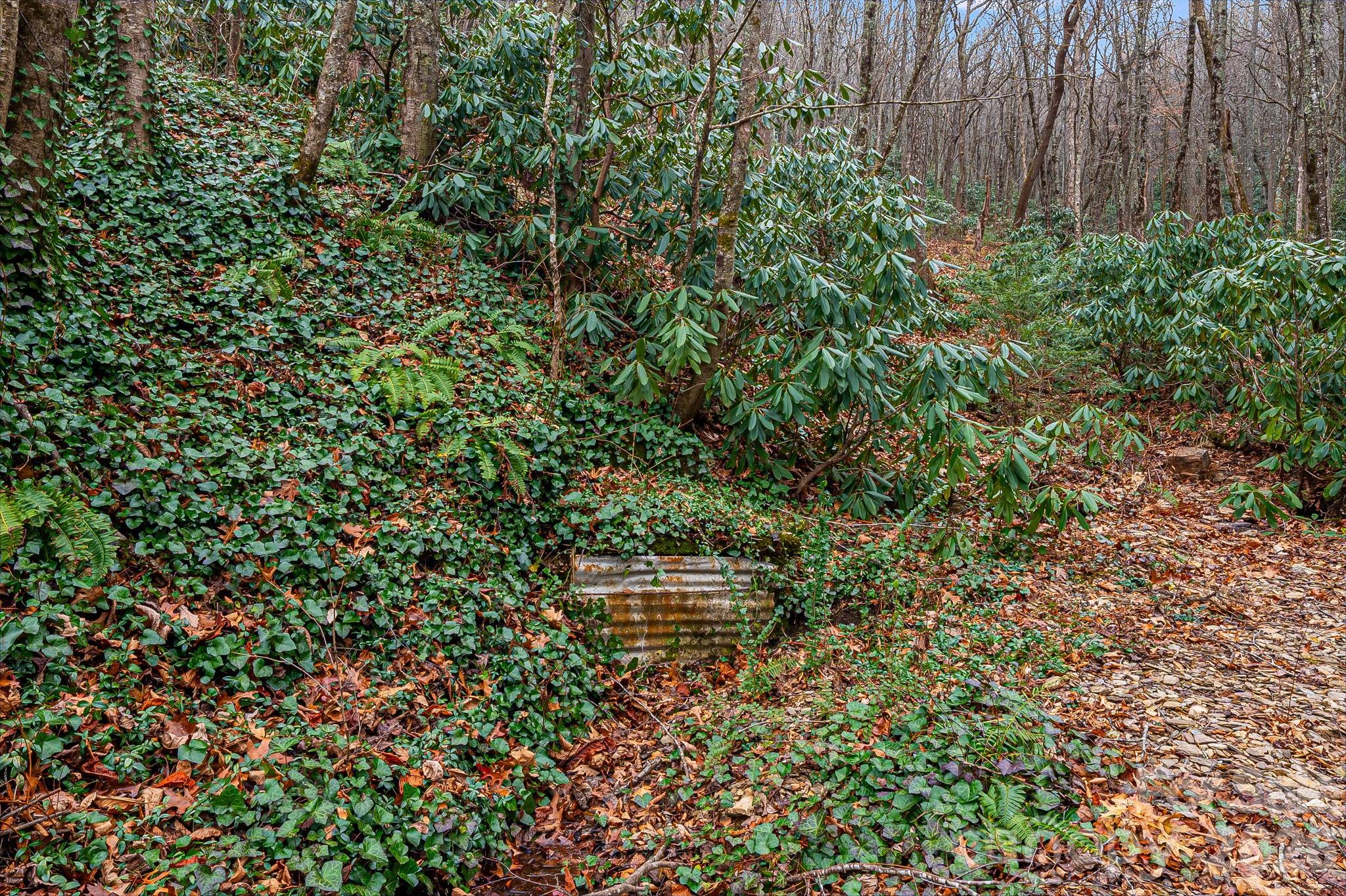 55 Heavenly Lane Fairview NC 28730