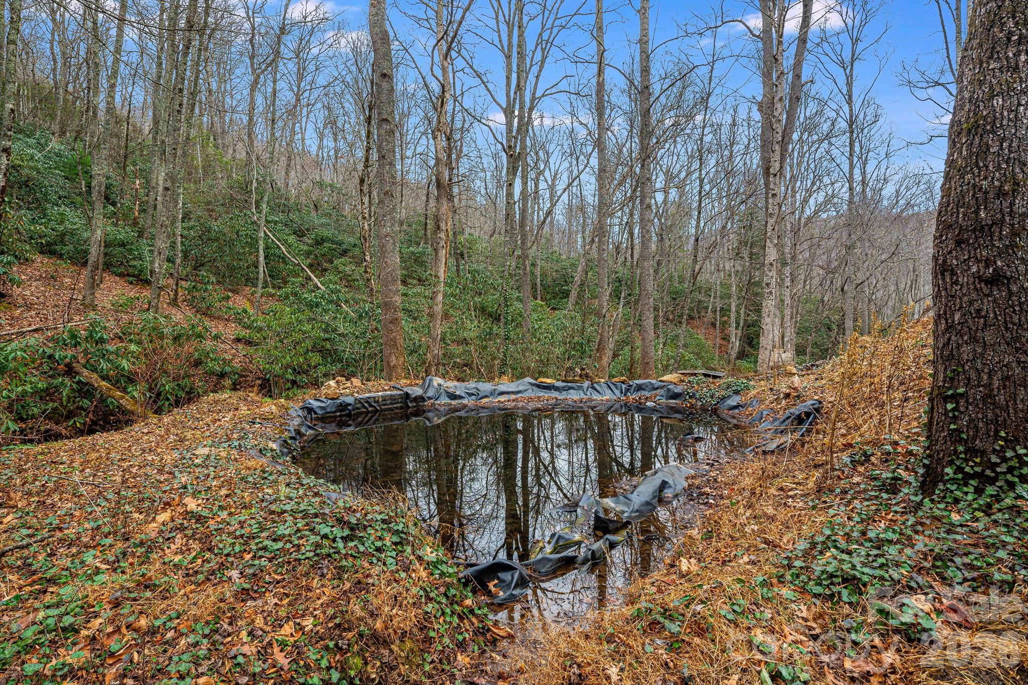 55 Heavenly Lane Fairview NC 28730
