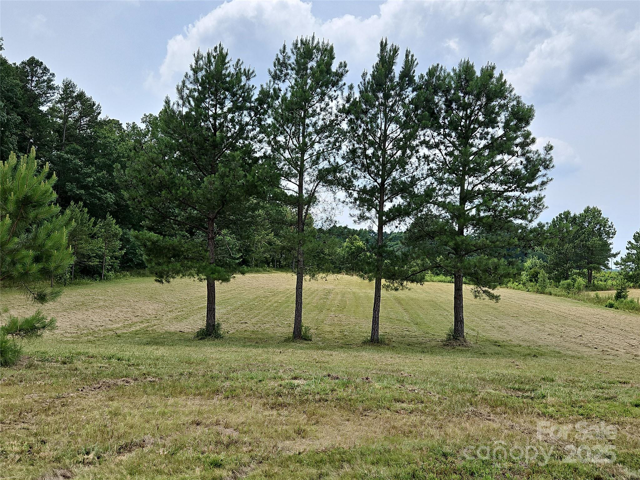 2905 Medlin Road Monroe NC 28112