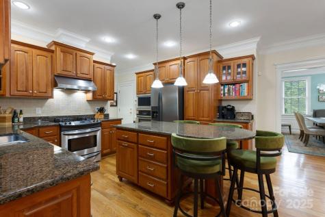 10 Ozark Spring Lane Asheville NC 28805