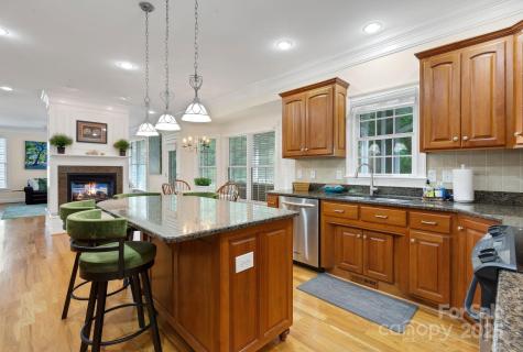 10 Ozark Spring Lane Asheville NC 28805