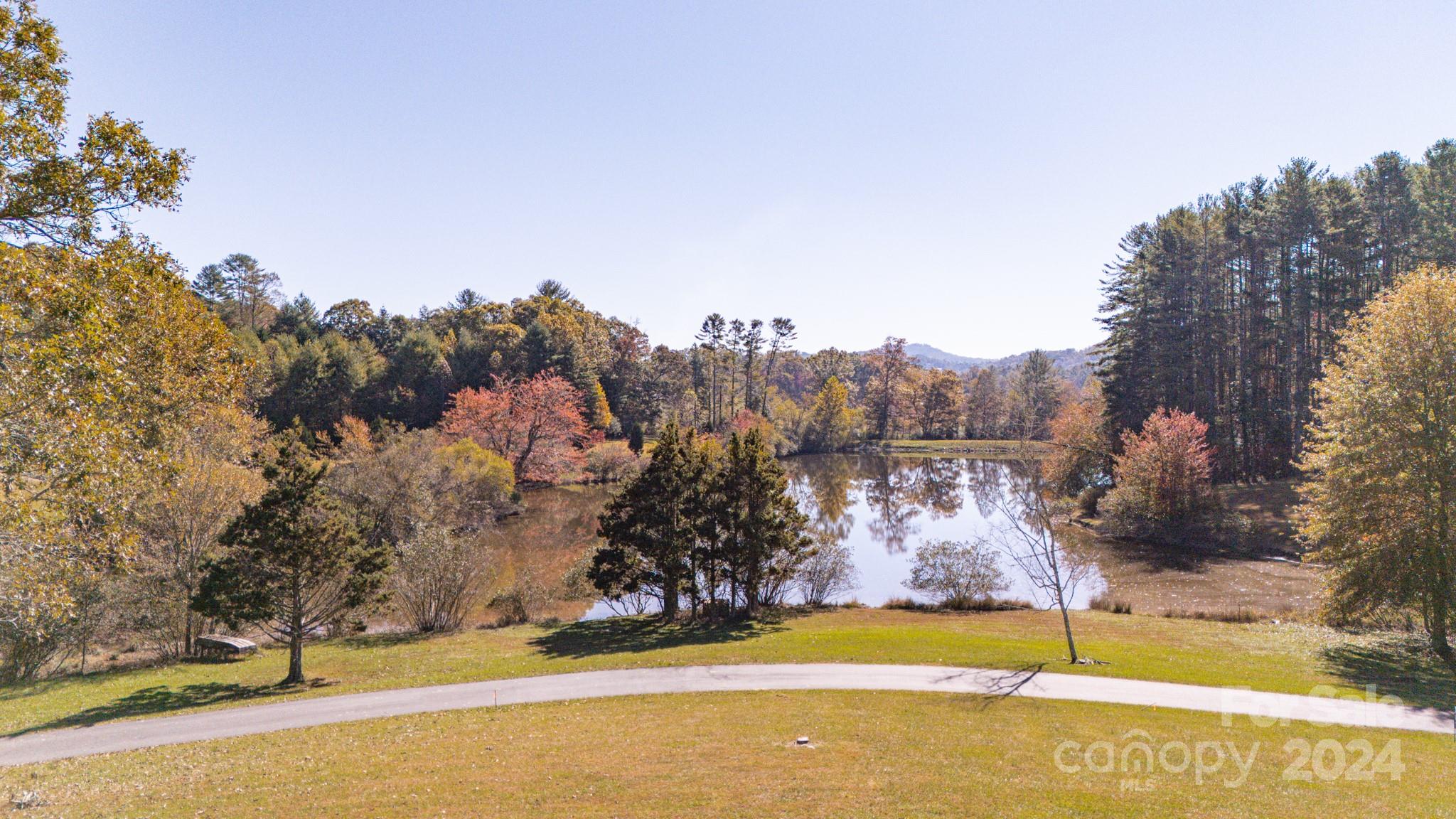 41 Bel Air Drive Horse Shoe NC 28742