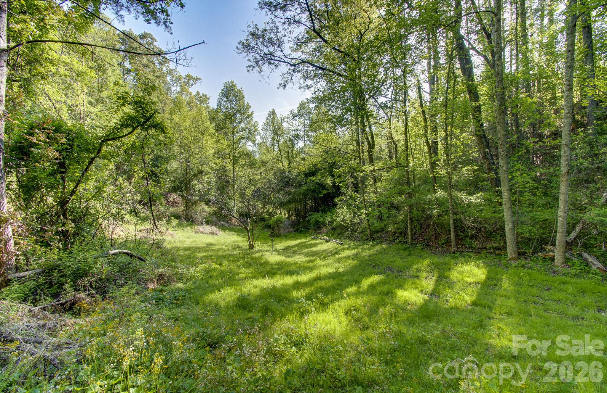 169 Pickens Road Weaverville NC 28787