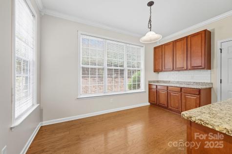 8 River Mead Court Woodfin NC 28804