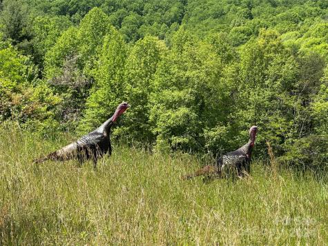 20 Lauren Lane Candler NC 28715