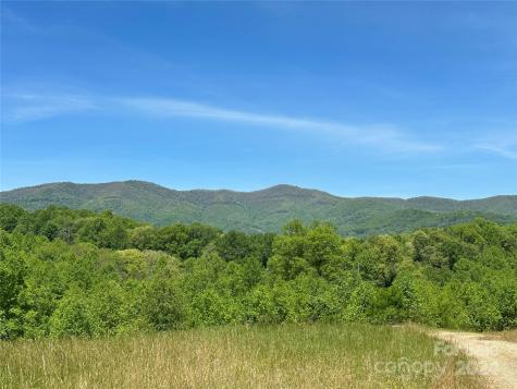 20 Lauren Lane Candler NC 28715