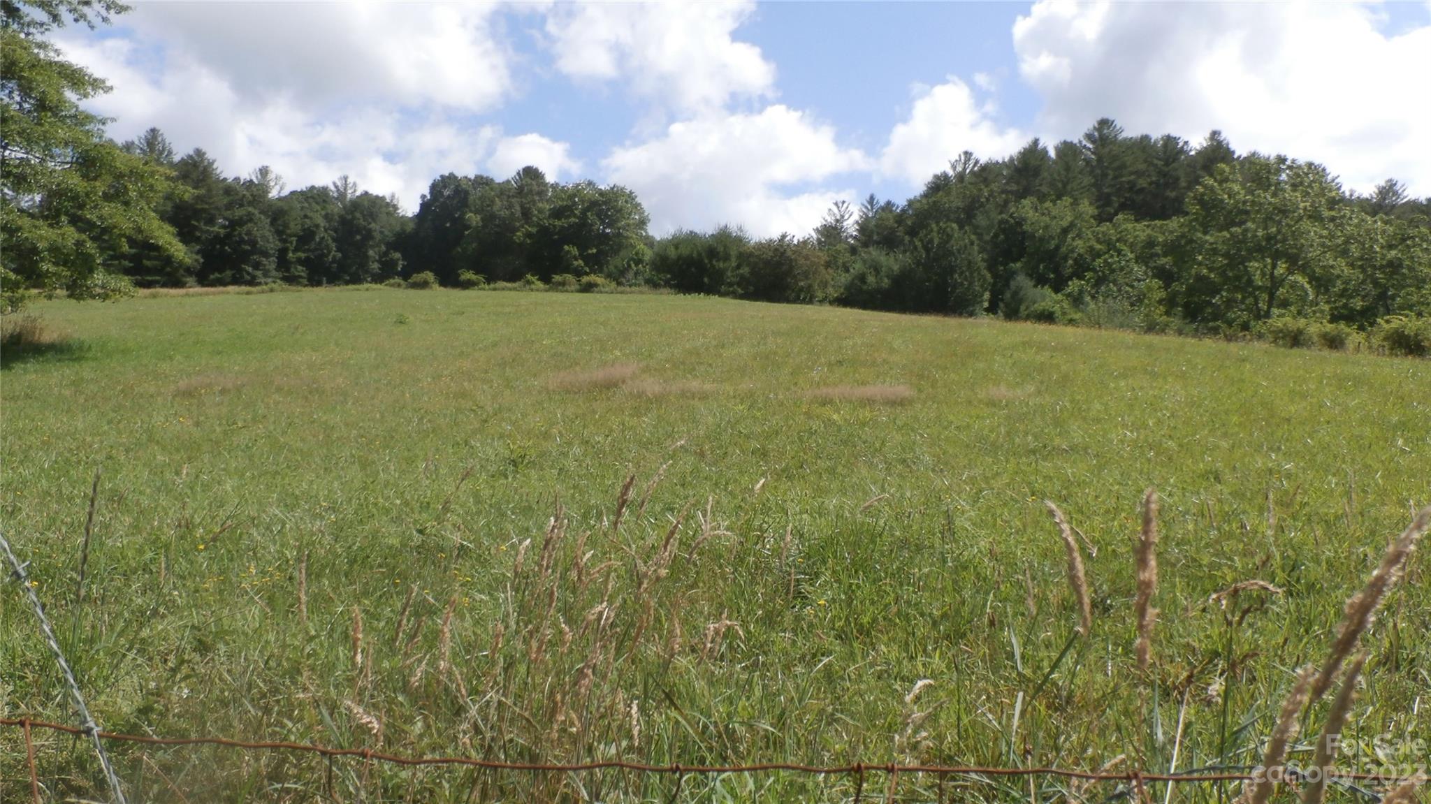 49 Loggy Hollow Road Bakersville NC 28705
