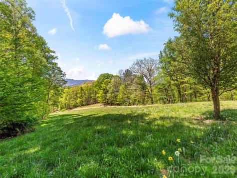 110 Mailon King Road Leicester NC 28748