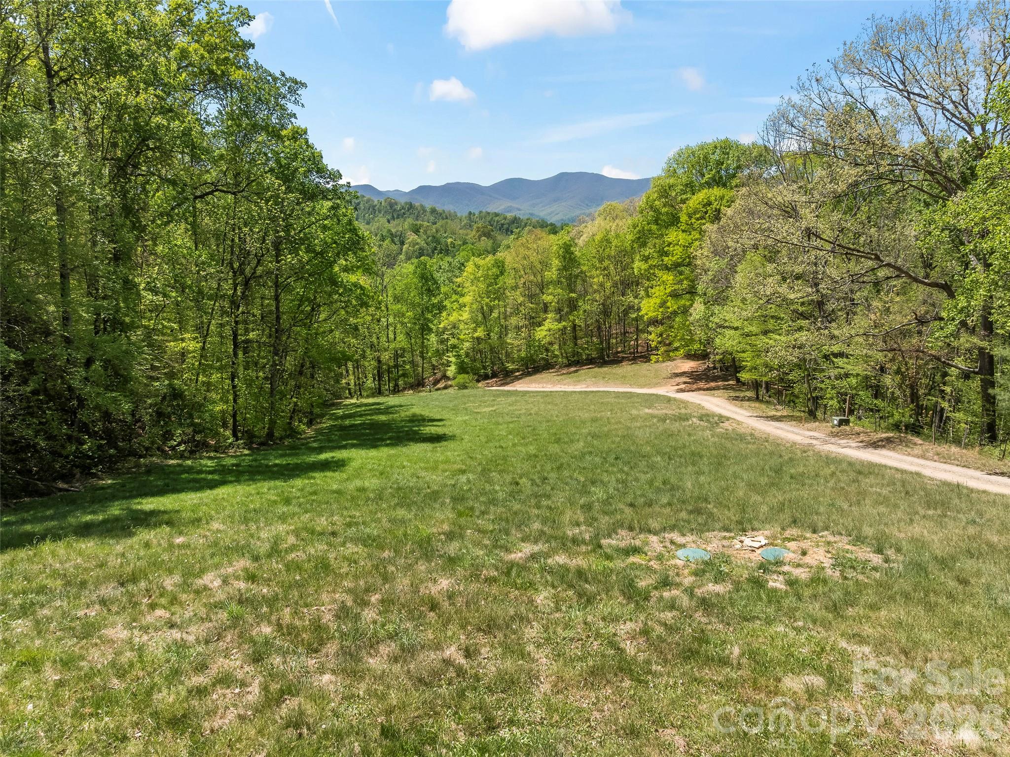 110 Mailon King Road Leicester NC 28748