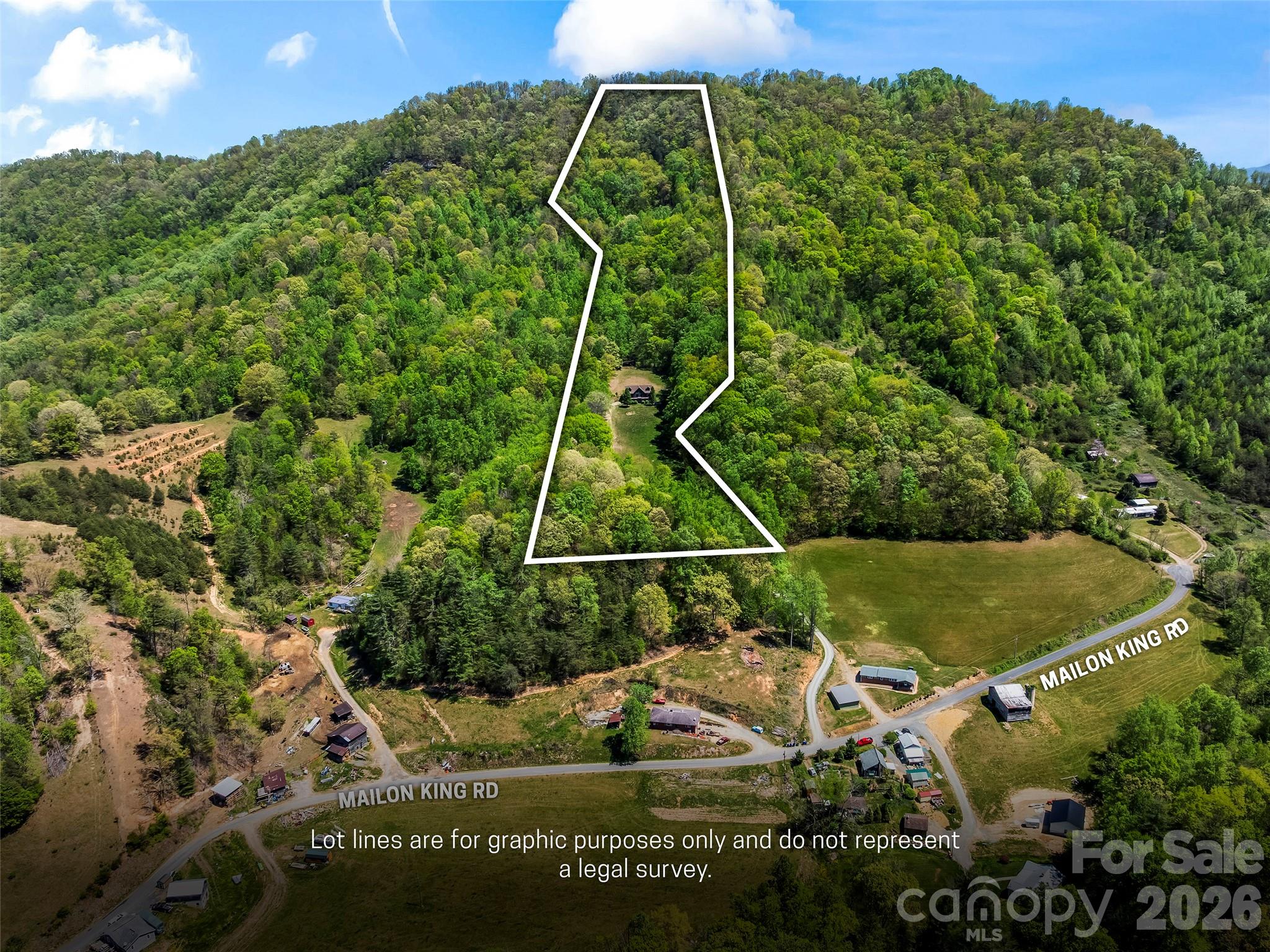 110 Mailon King Road Leicester NC 28748