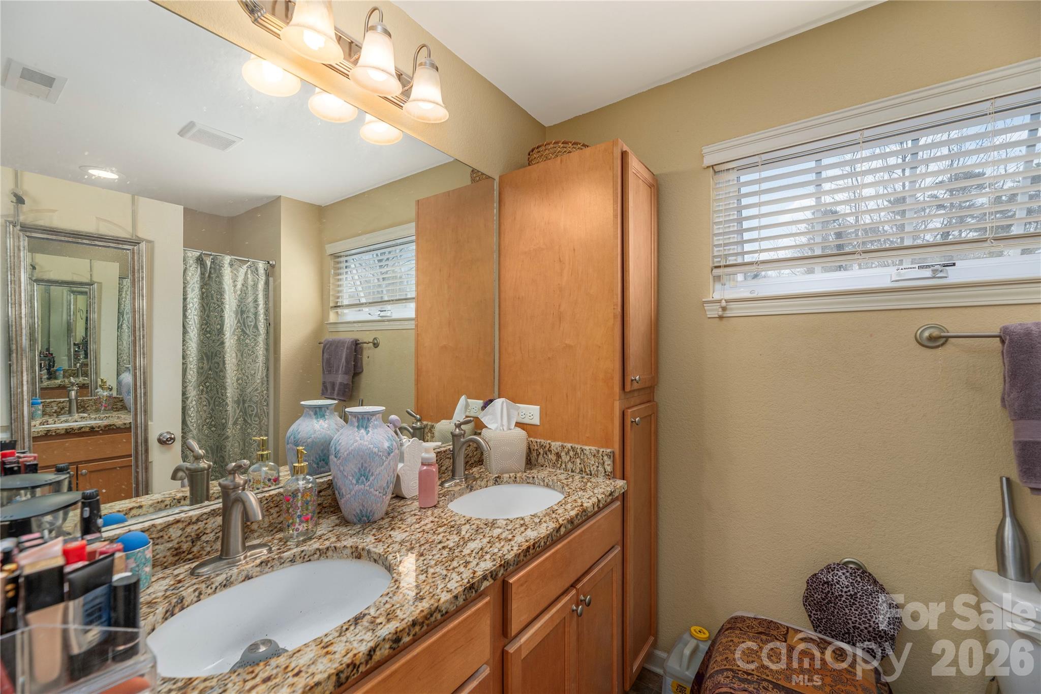 22 Barnett Shoals Drive Weaverville NC 28787