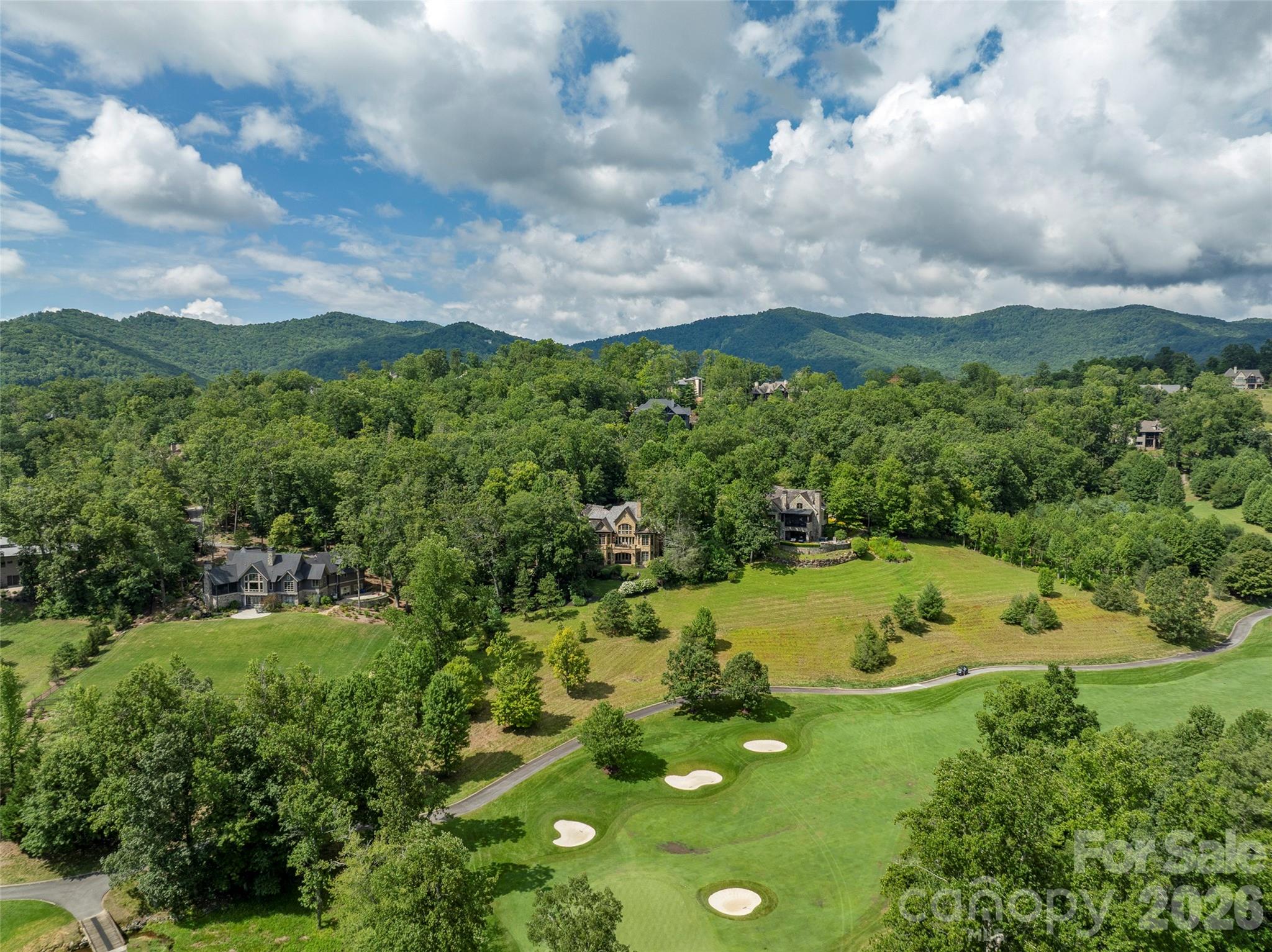 1829 Bella Vista Court Arden NC 28704