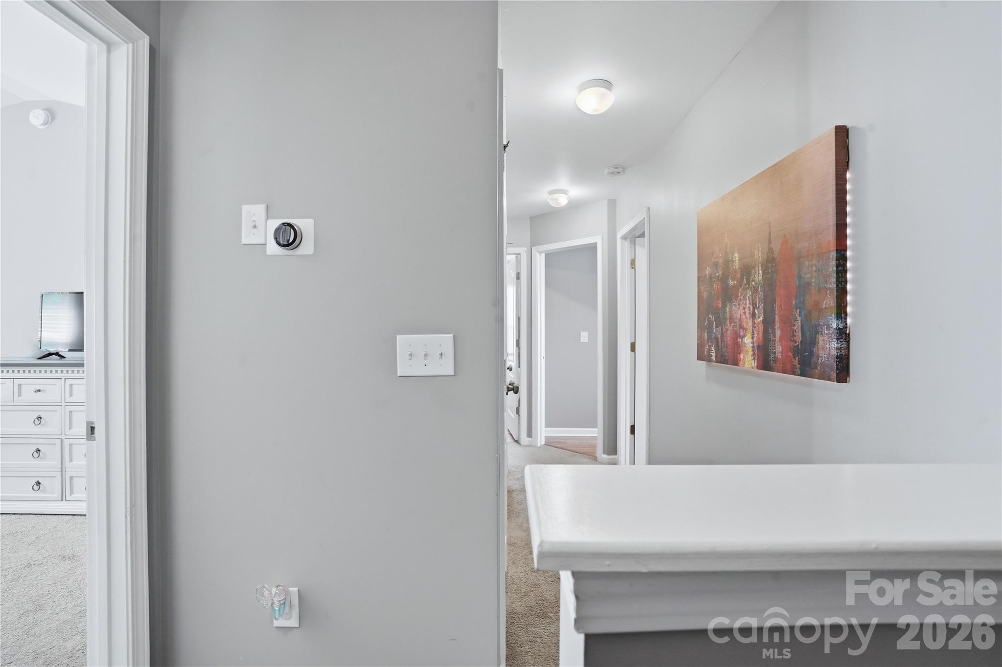 2315 Old Goose Lane Charlotte NC 28262