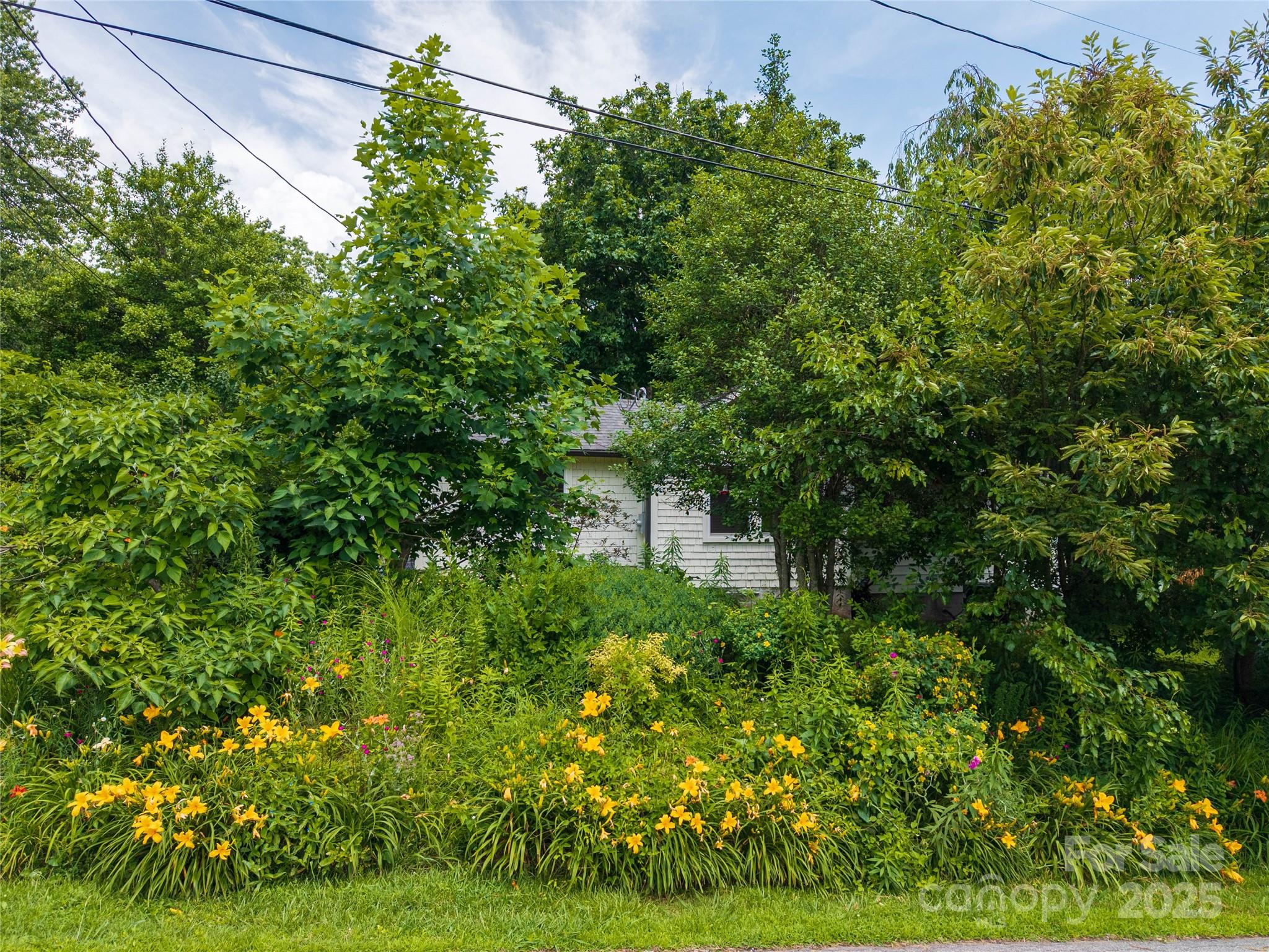 111 Altamahaw Avenue Black Mountain NC 28711